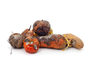 What Your Holiday Visit Might Reveal: Recognizing When Mom or Dad May Need Extra Help