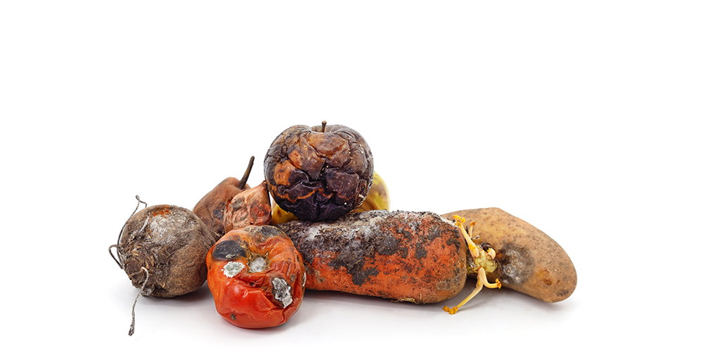 What Your Holiday Visit Might Reveal: Recognizing When Mom or Dad May Need Extra Help